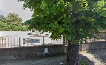 Linguae Foligno