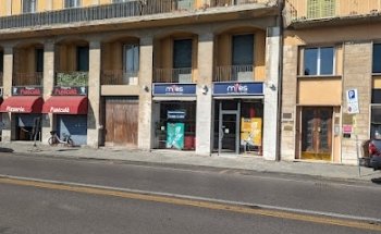 My English School Pisa