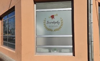 Serendipity Academy