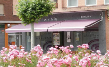 Whizdom English