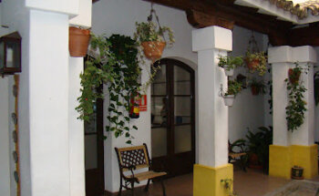 Academia Andaluza
