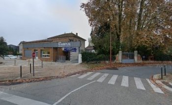 French Institute Language And Services