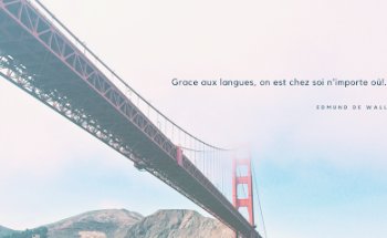 Force Langues