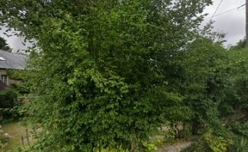 Fale Normandie
