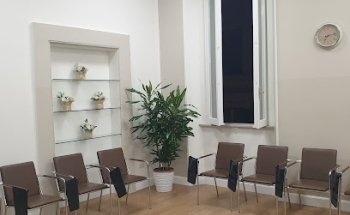 ProLingua international