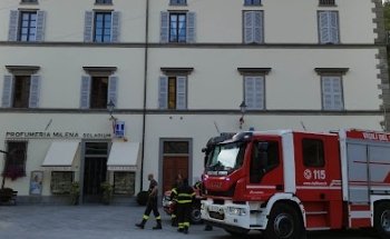 Scuola Palazzo Malvisi