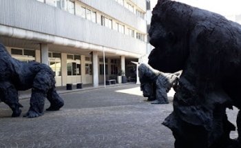 Action line Agenzia di traduzioni