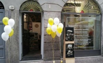 Virtus Animi - Traduzioni Giurate - Interpretariato - Corsi di Lingua Straniera