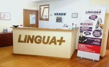 Linguapiù Centro formazione, Università Online, Informatica