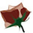 ItalRosa