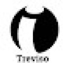 Inlingua Treviso