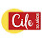Academia CILE - Centro Internacional de Lengua Española. Spanish Courses in Malaga since 1988