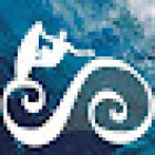 Spanish & Surf School