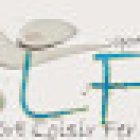 Slfa Association
