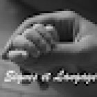 Signes Et Langage