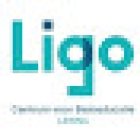 Ligo LiMiNo